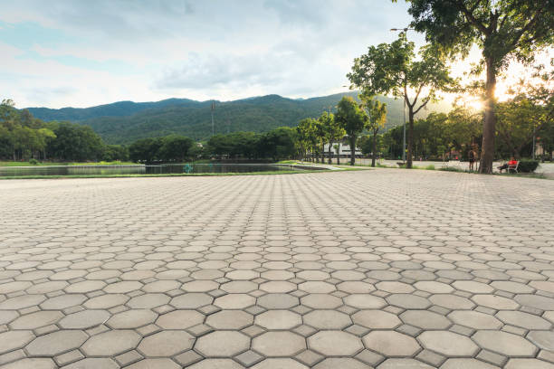 Best Decorative Driveway Pavers  in Claypool Hill, VA